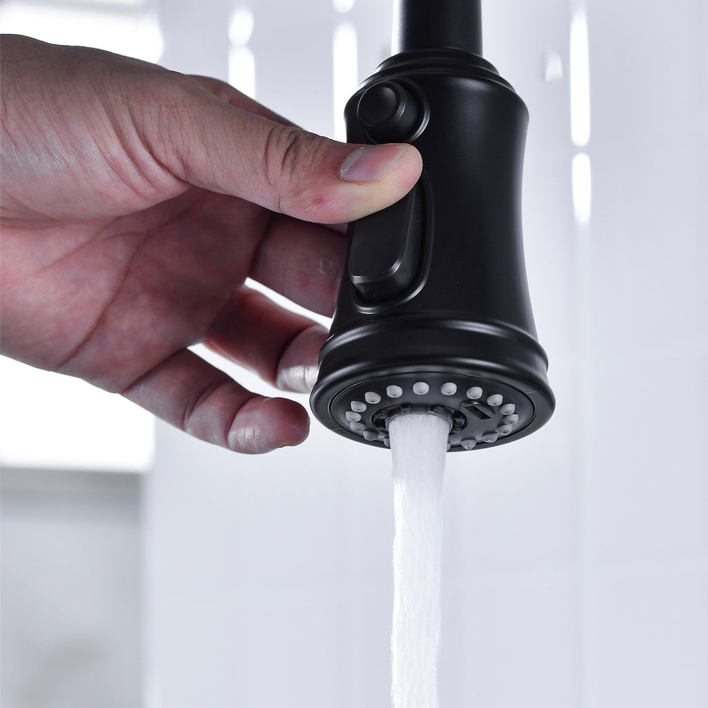Pull Down Dual Handle Kitchen Faucet